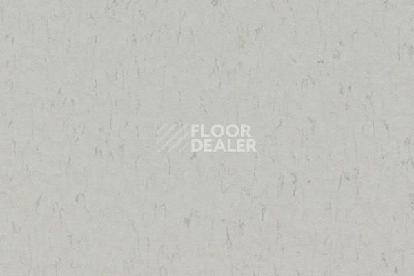 Линолеум Marmoleum Solid Piano 3629-362935 frosty grey фото 1 | FLOORDEALER